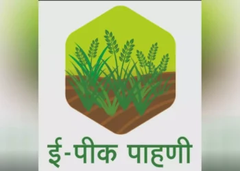ई पीक पाहणी