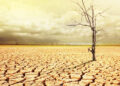 Droughts in Maharashtra
